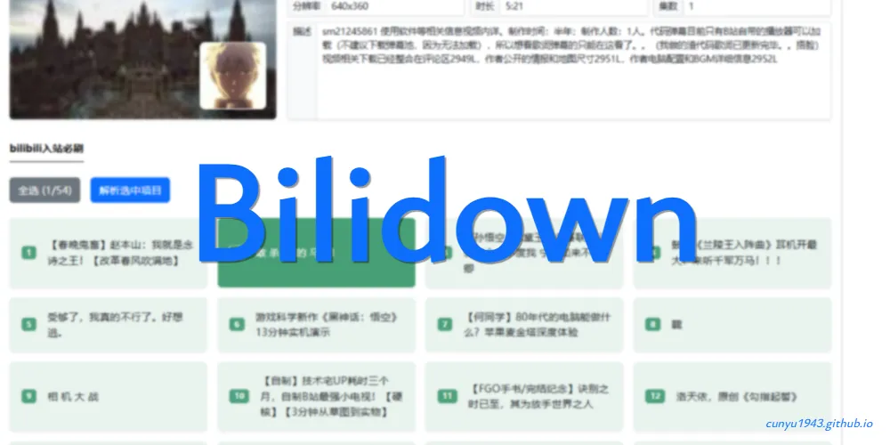 Bilidown：哔哩哔哩视频解析下载工具